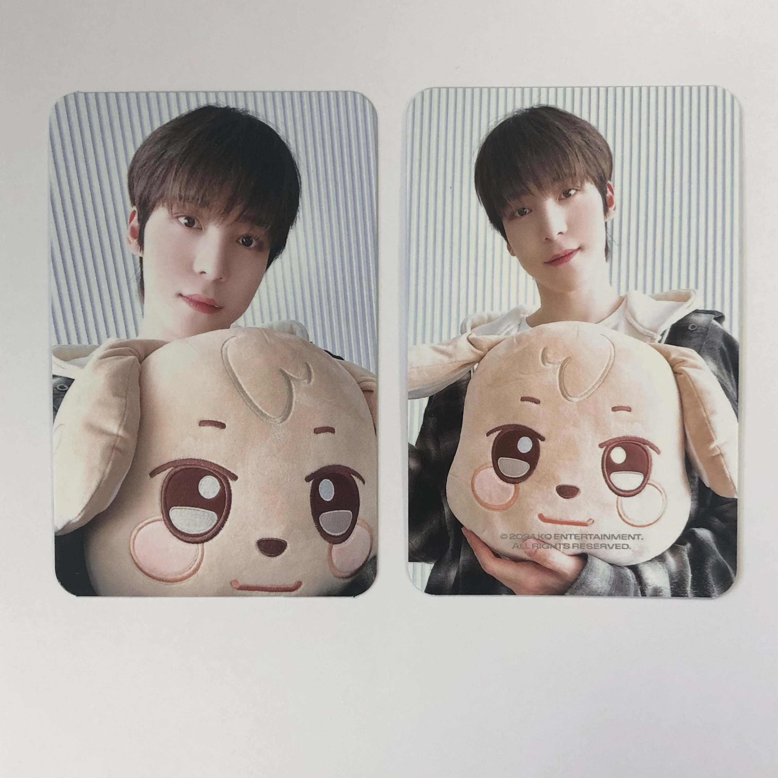 ATEEZ - ANITEEZ [IN ICE CITY] Plush Cushion Photocards - Image 2