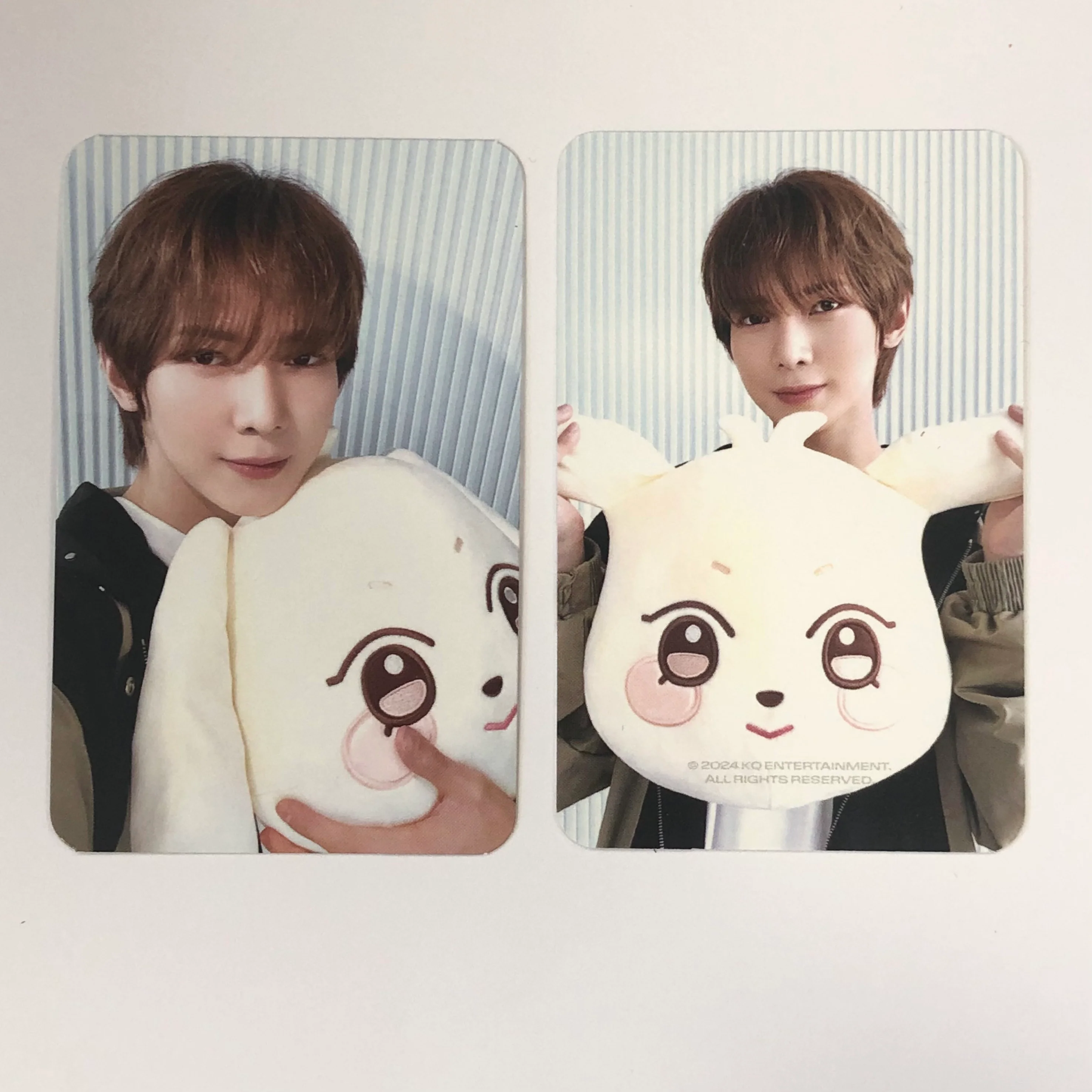 ATEEZ - ANITEEZ [IN ICE CITY] Plush Cushion Photocards - Image 3