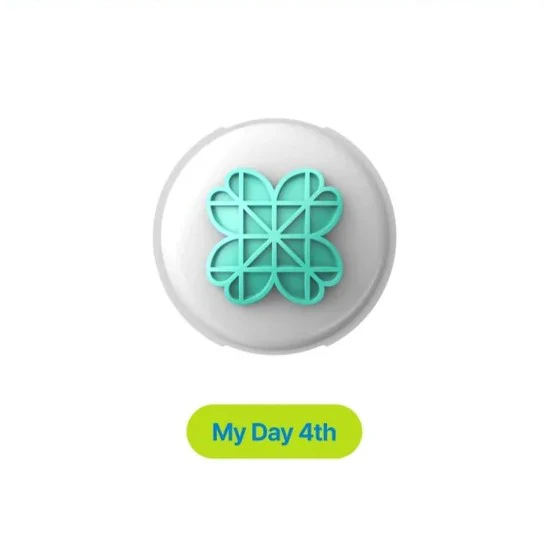 DAY6 - Denimalz Light Band Custom Cover [Welcome To The Show MD] - Image 6