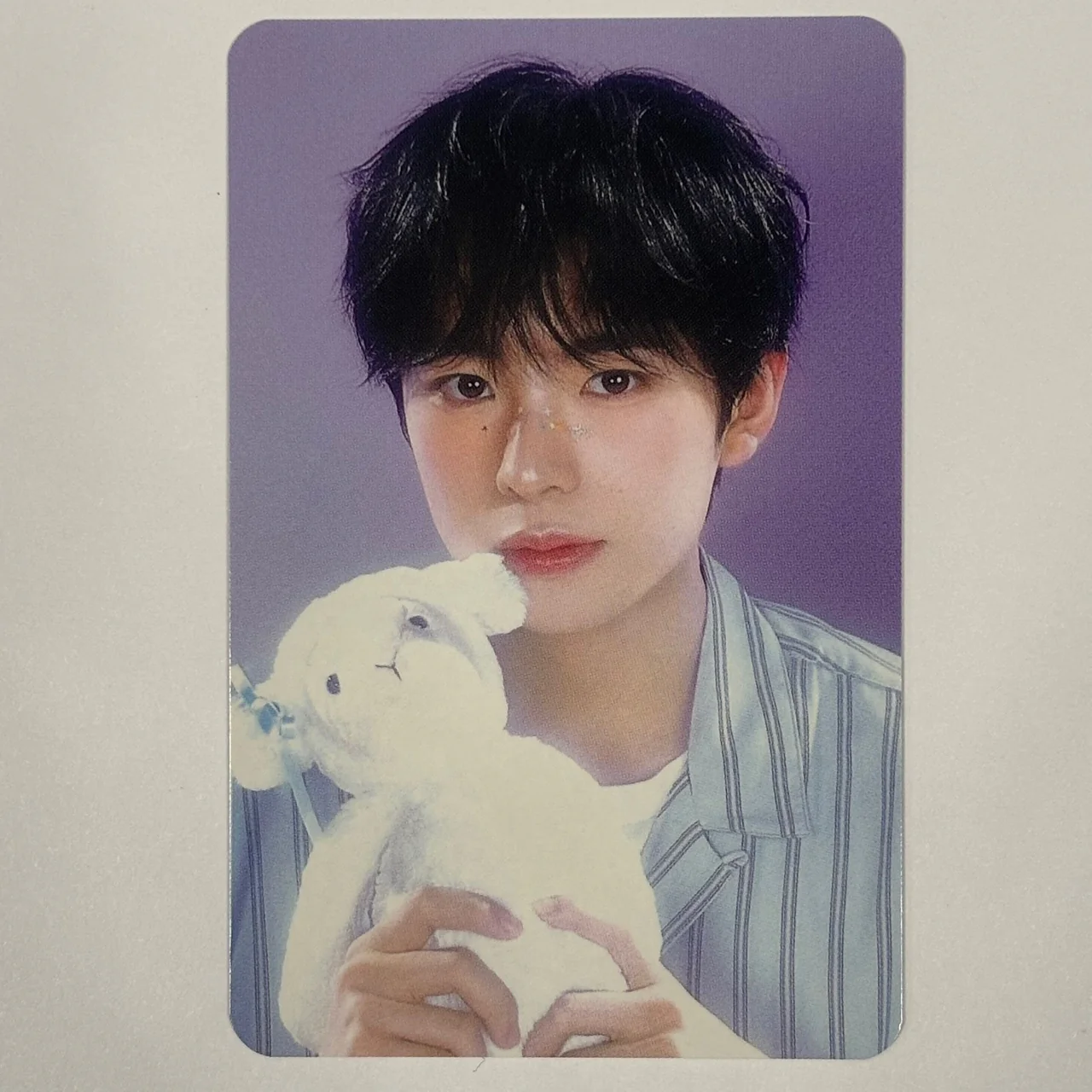 NCT Wish - Seasons Greetings 2025 KTown4u Pre-order Benefit Photocards - Image 6