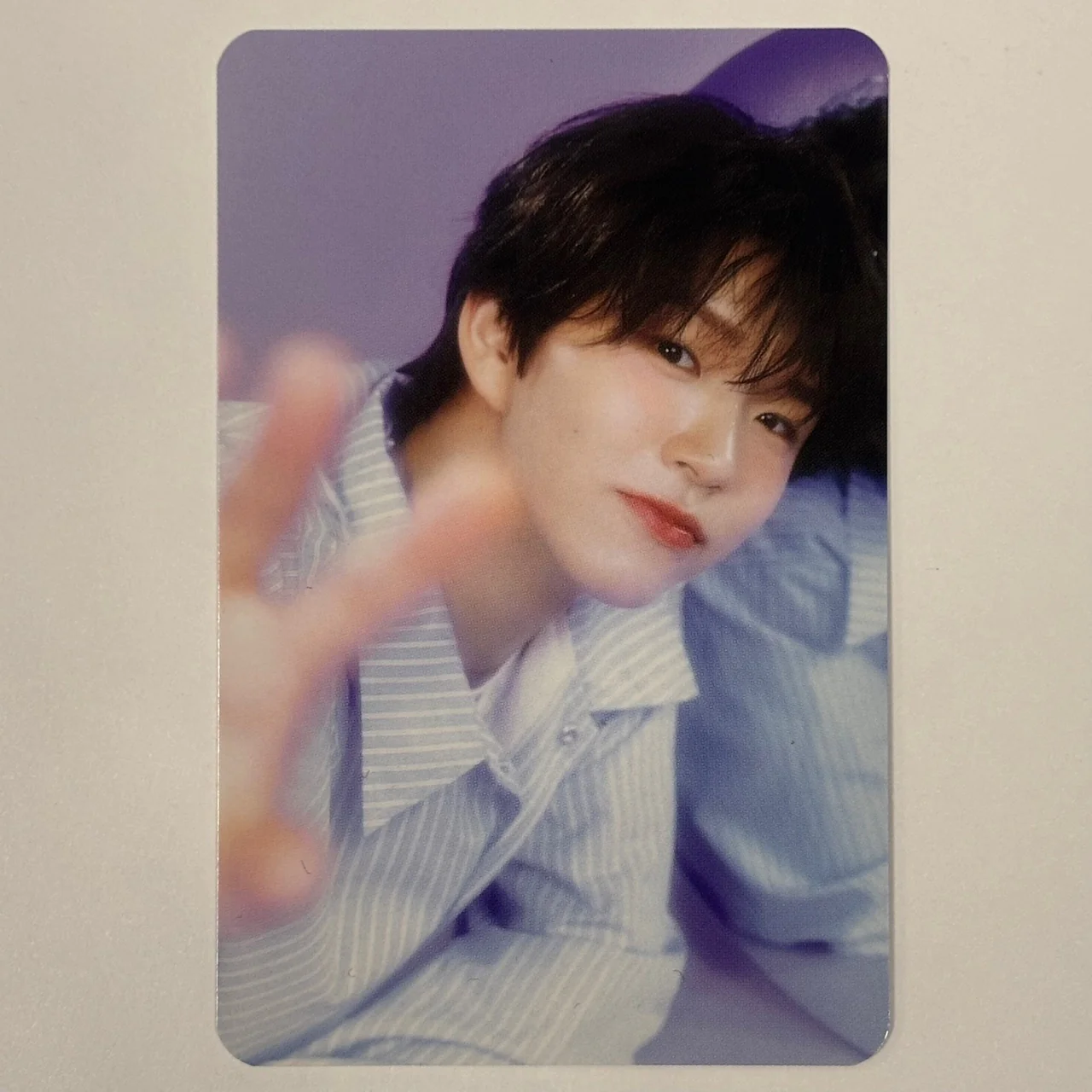 NCT Wish - Seasons Greetings 2025 KTown4u Pre-order Benefit Photocards - Image 7