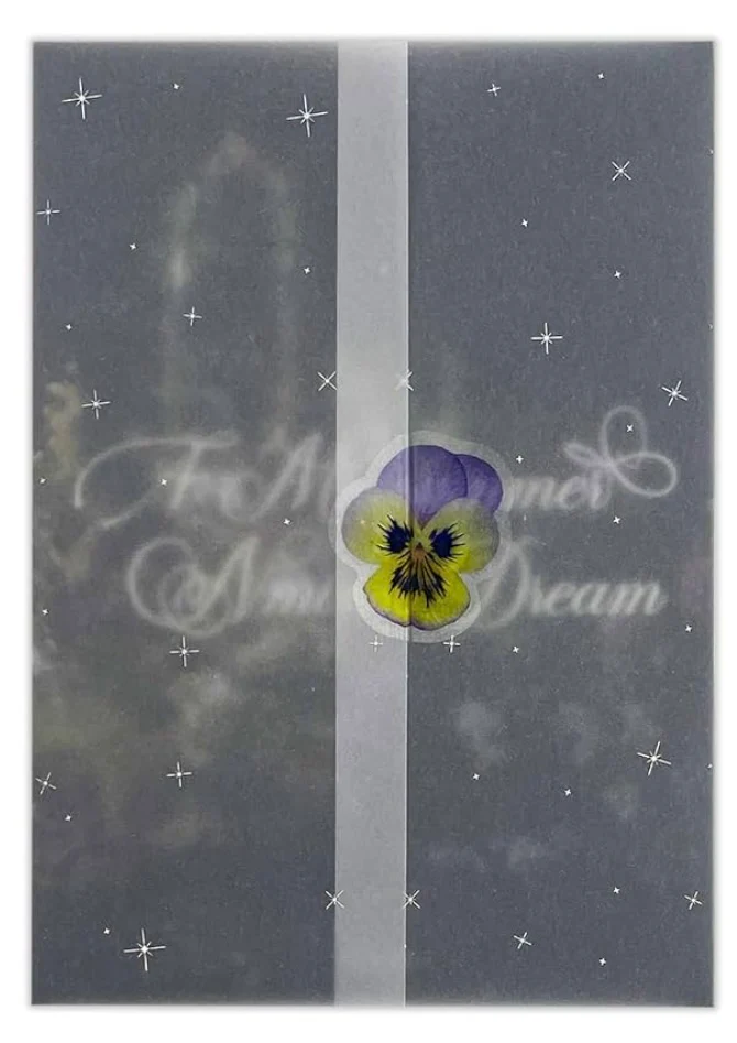 NMIXX - A Midsummer Nmixx's Dream (Photobook) - Image 3