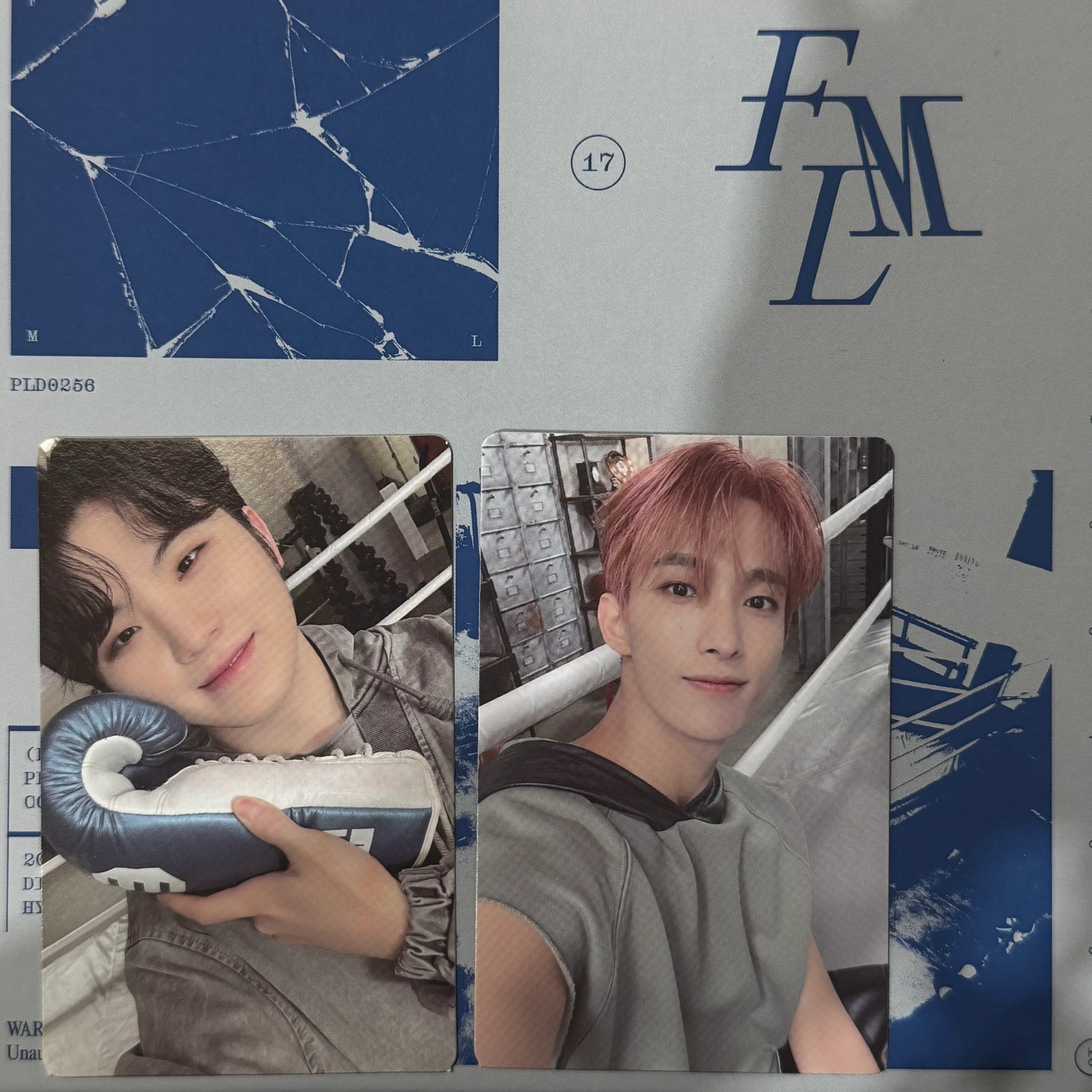 [PHOTOCARD SORTING] Seventeen - FML - Image 2
