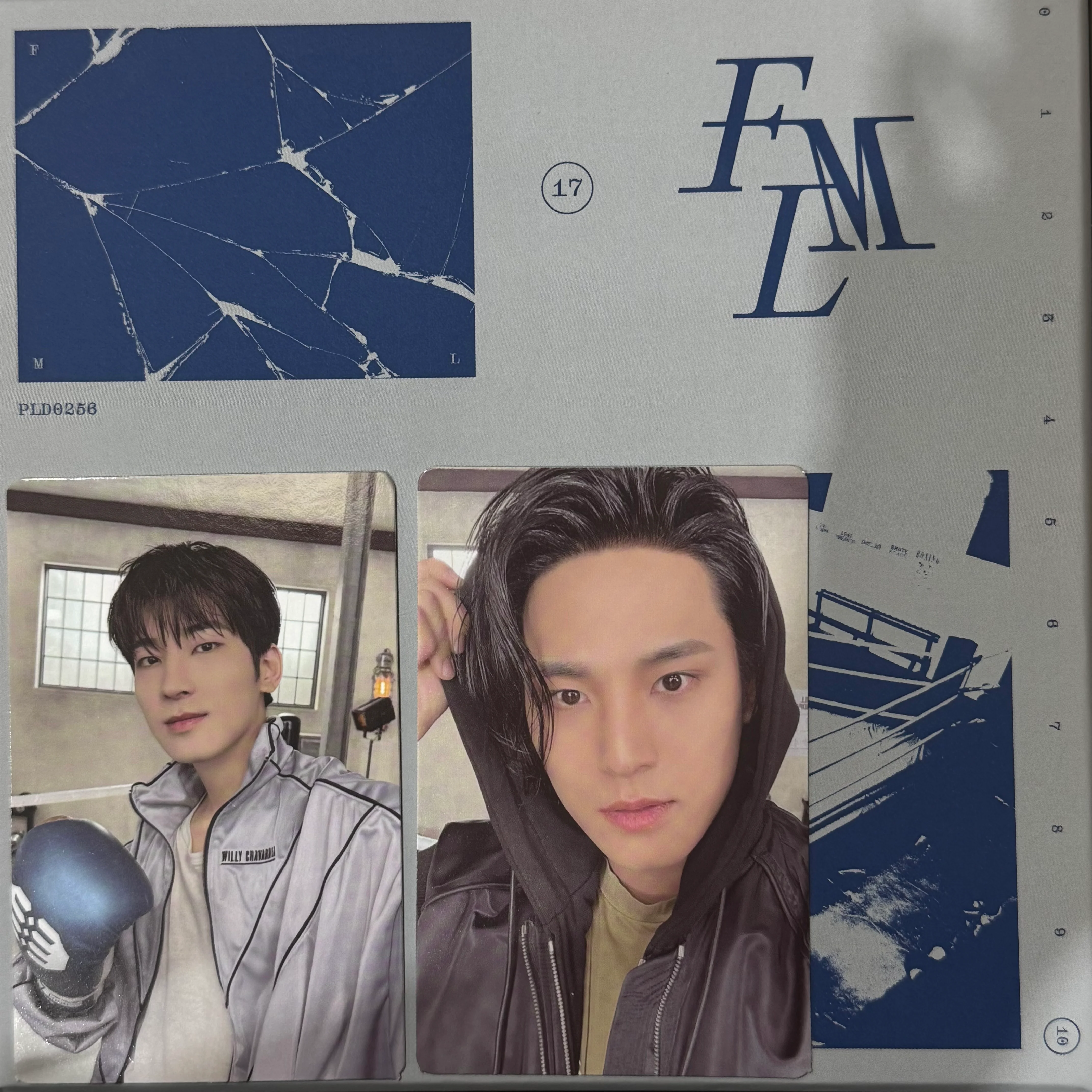 [PHOTOCARD SORTING] Seventeen - FML - Image 3