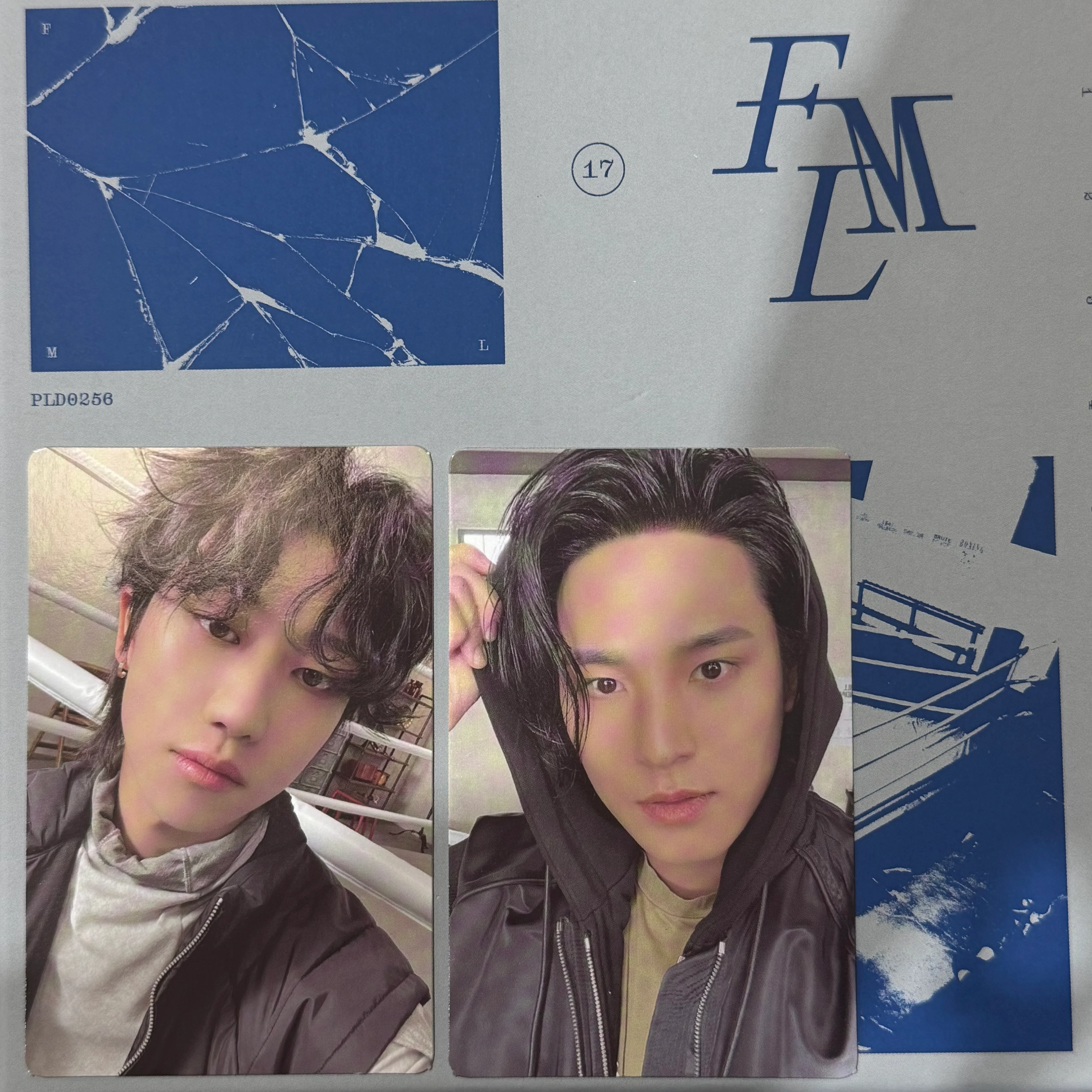[PHOTOCARD SORTING] Seventeen - FML - Image 4