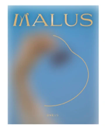 ONEUS - MALUS (EDEN Ver.) - Image 3
