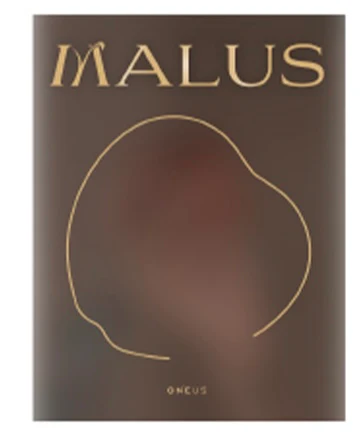 ONEUS - MALUS (EDEN Ver.) - Image 6