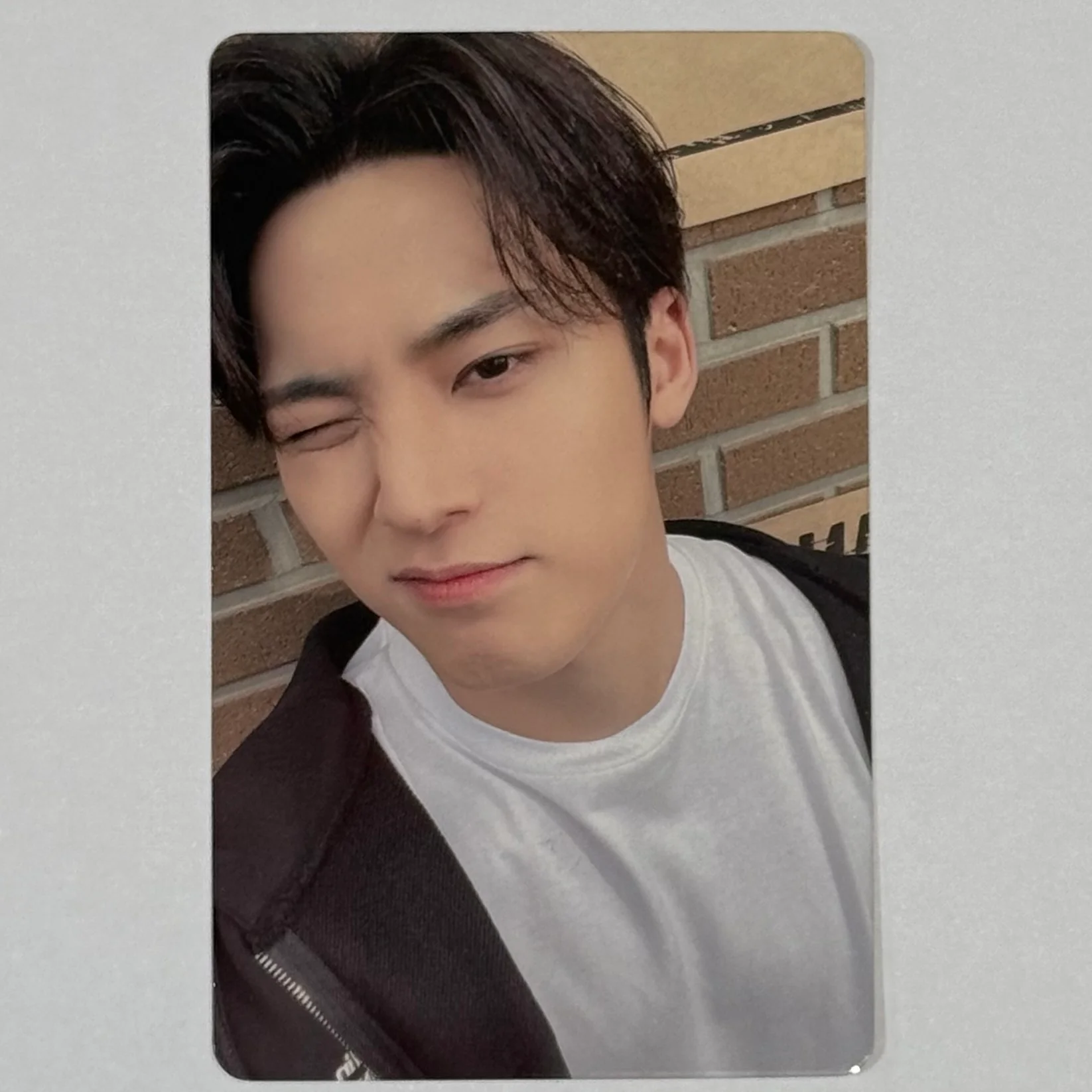 Seventeen - 2022 Carat Land Memory Book Photocards - Image 10