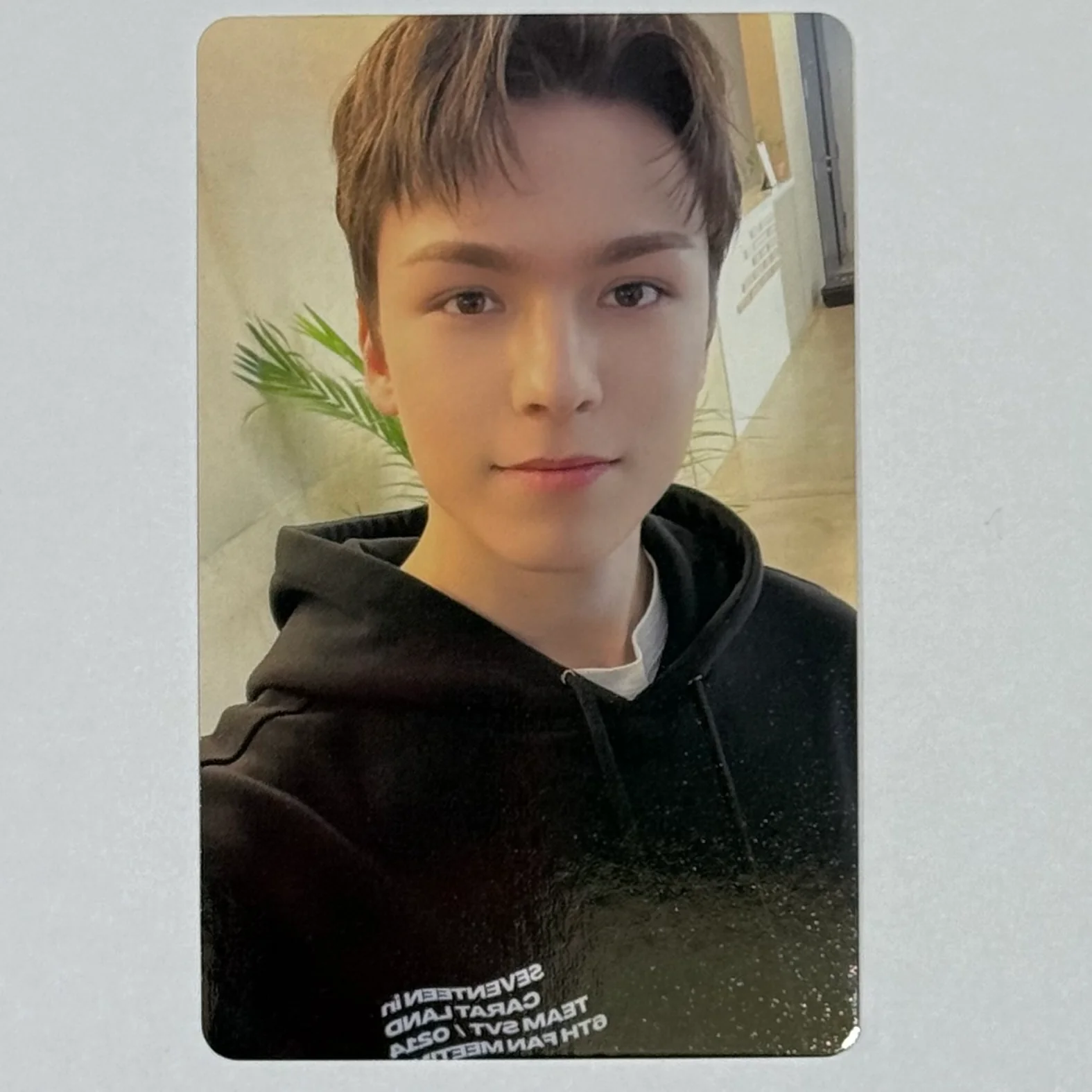 Seventeen - 2022 Carat Land Memory Book Photocards - Image 13
