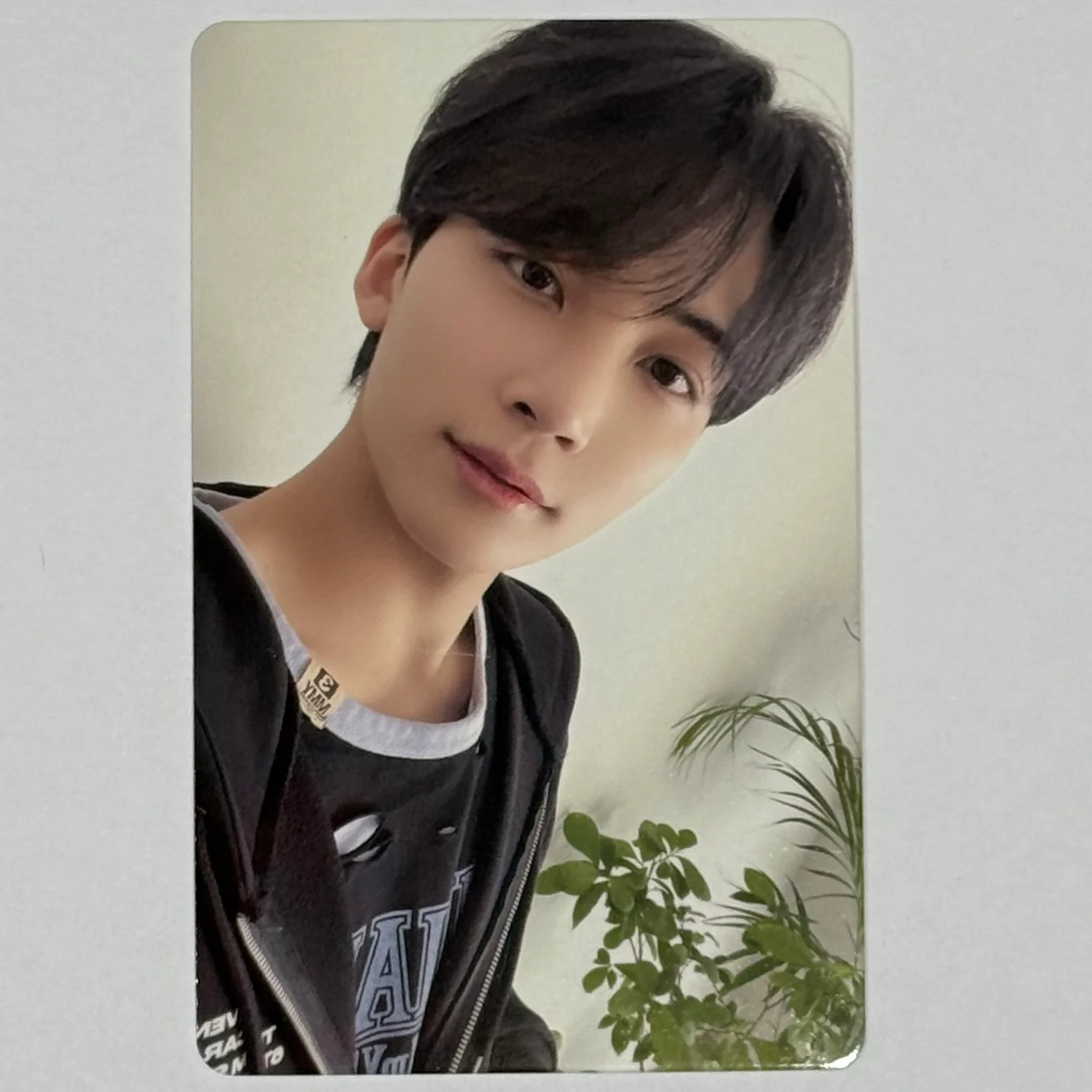 Seventeen - 2022 Carat Land Memory Book Photocards - Image 3