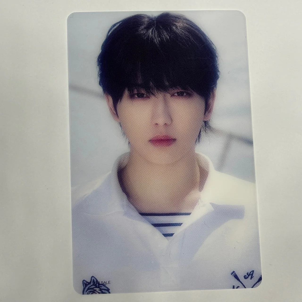 &TEAM - AOARASHI Tower Records Photocards - Image 4