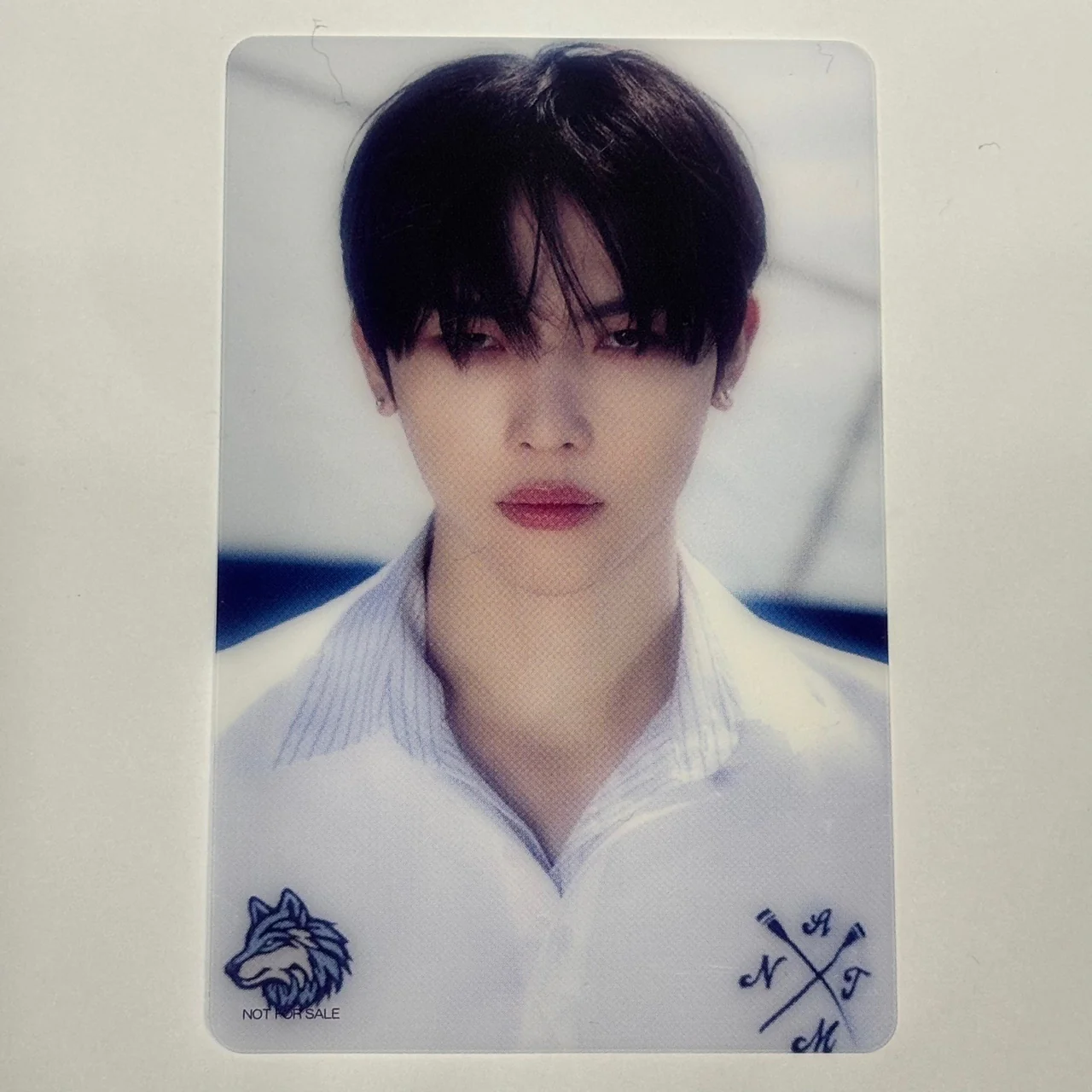 &TEAM - AOARASHI Tower Records Photocards - Image 5