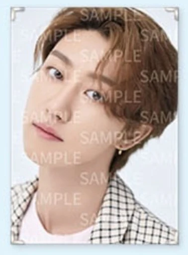 Seventeen - Caratland 2021 Premium Photo - Image 10