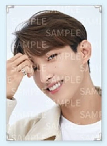 Seventeen - Caratland 2021 Premium Photo - Image 12