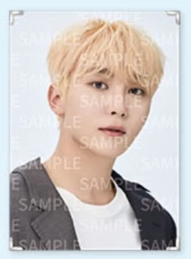 Seventeen - Caratland 2021 Premium Photo - Image 13