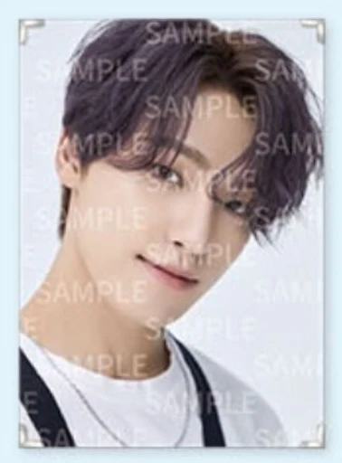 Seventeen - Caratland 2021 Premium Photo - Image 15