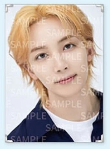 Seventeen - Caratland 2021 Premium Photo - Image 4