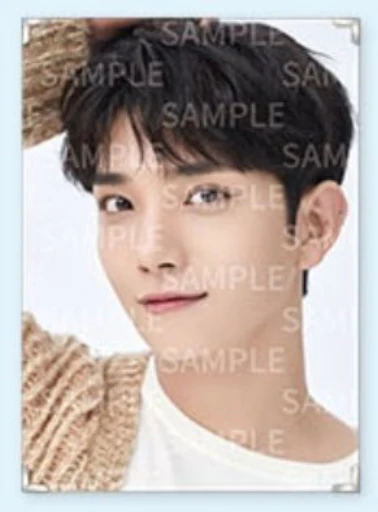 Seventeen - Caratland 2021 Premium Photo - Image 5