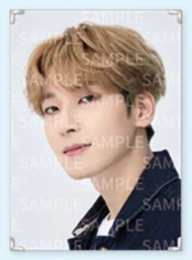 Seventeen - Caratland 2021 Premium Photo - Image 8