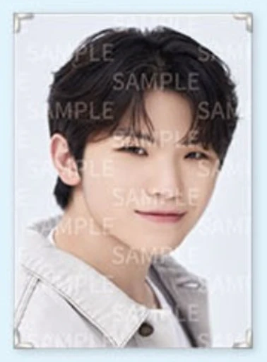 Seventeen - Caratland 2021 Premium Photo - Image 9
