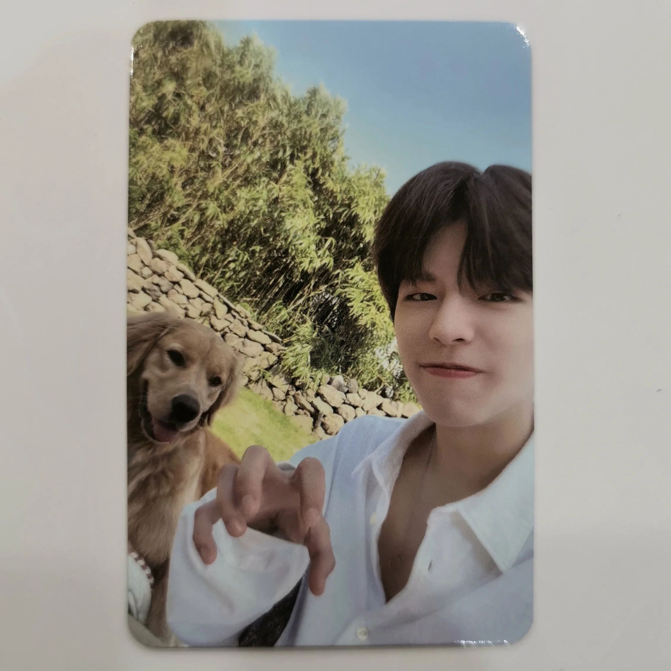 Stray Kids - 'Stay in Stay' Photocards - Image 15
