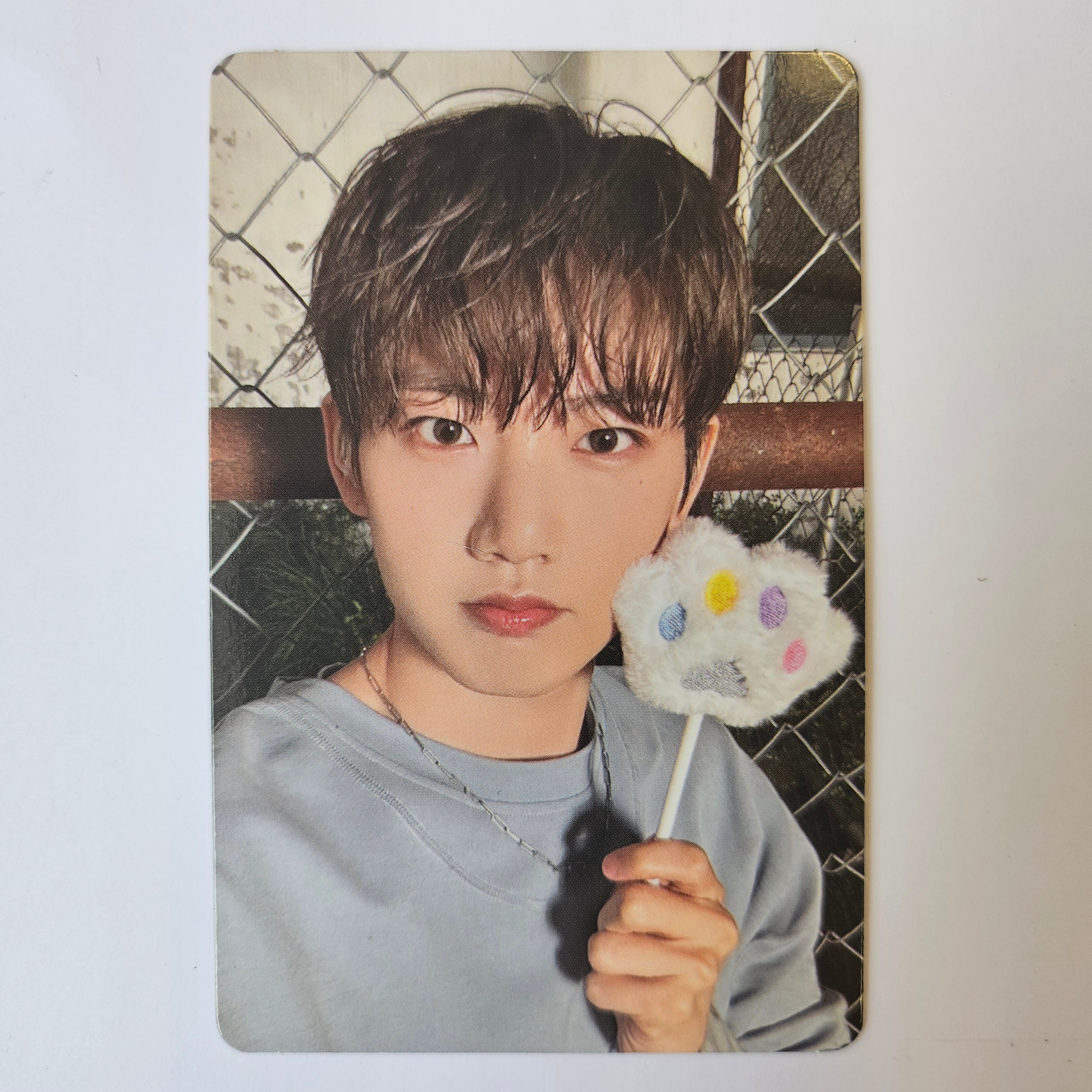 TREASURE - PLEASURE Photocards - Image 5