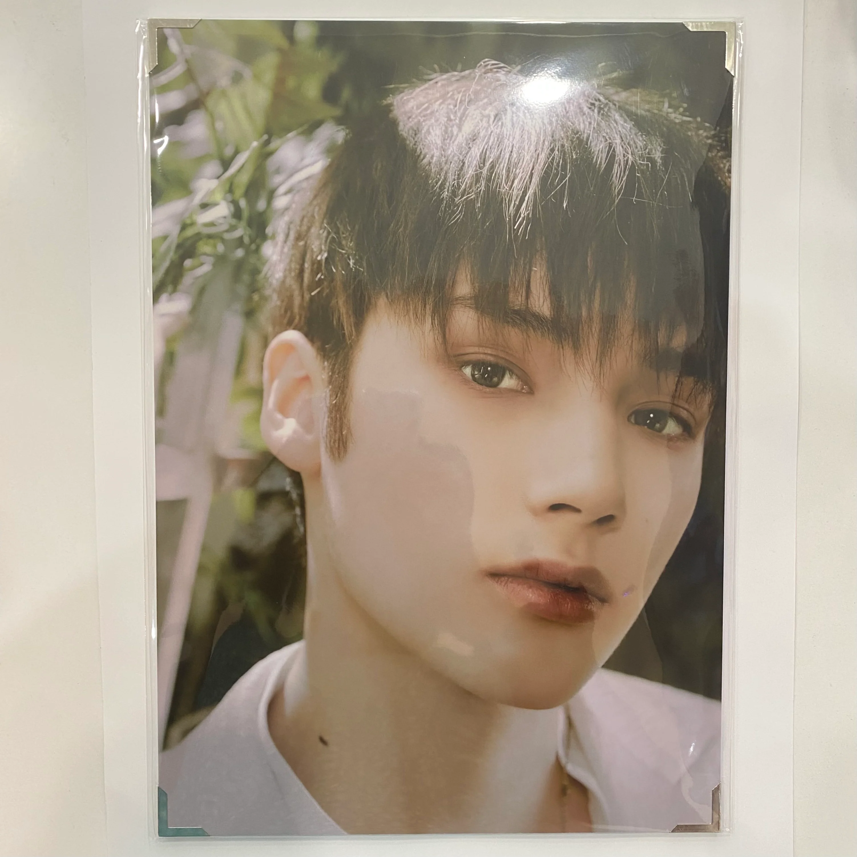 TXT - ACT: LOVESICK Premium Photo - Image 5