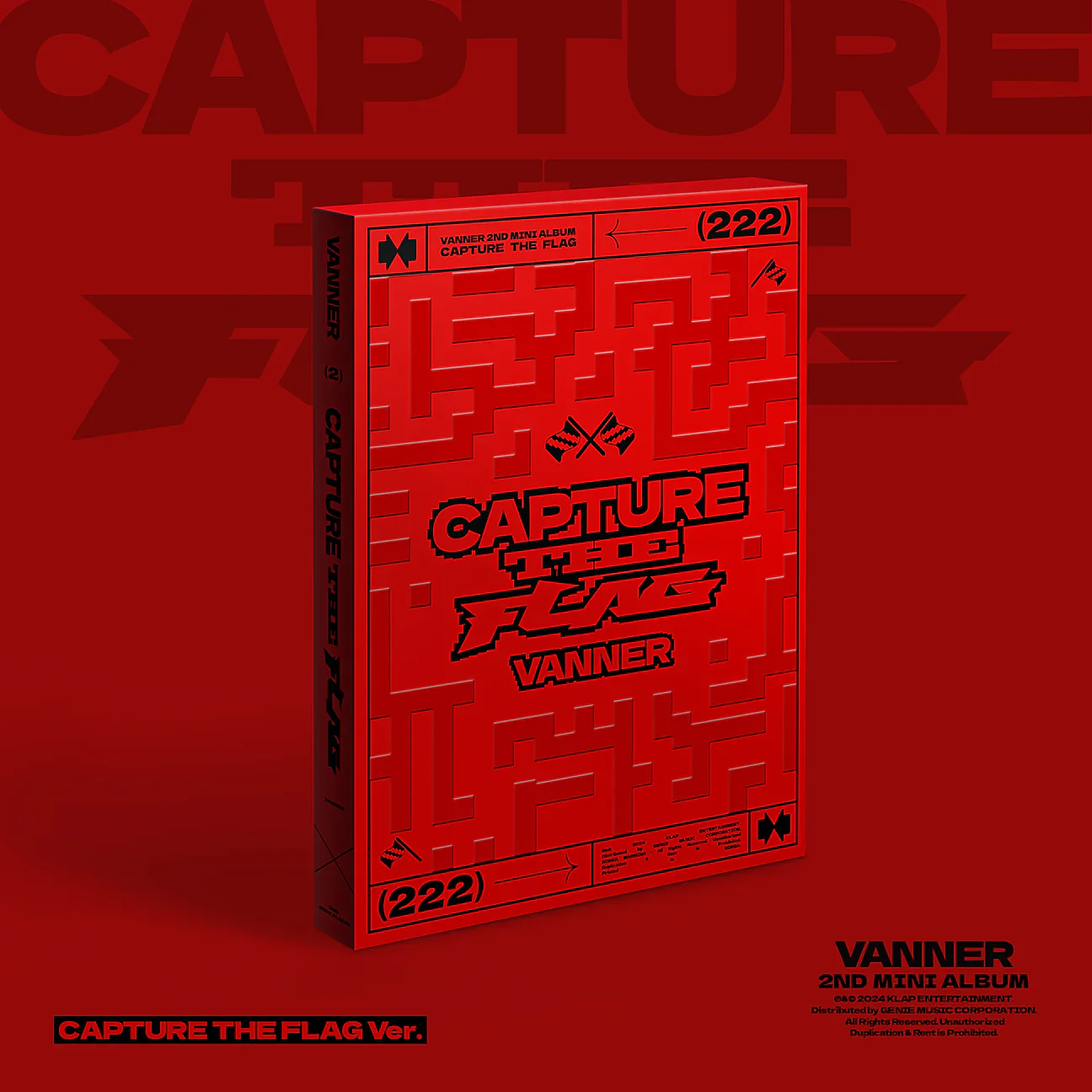 VANNER - CAPTURE THE FLAG - Image 6