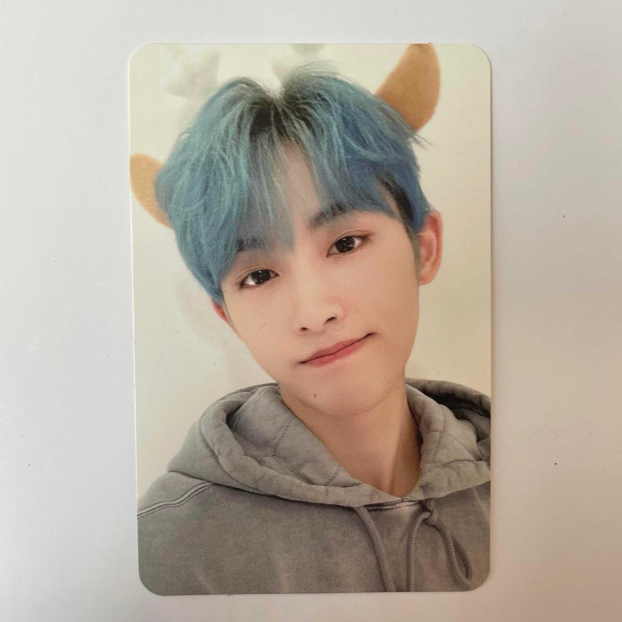 WAYV - PINK CHRISTMAS 2023 PHOTOCARDS - Image 17