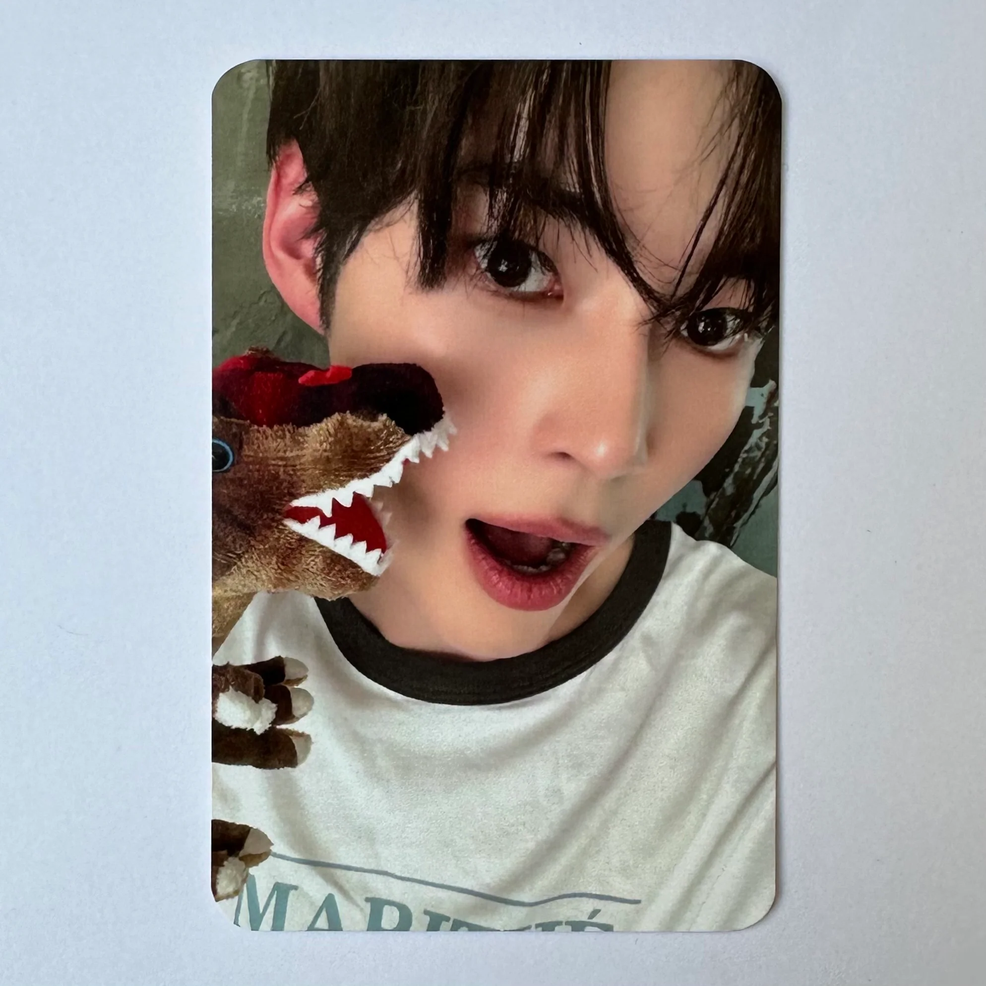 ZEROBASEONE - NEVER SAY NEVER (Photobook Ver.) Soundwave Photocards - Image 3