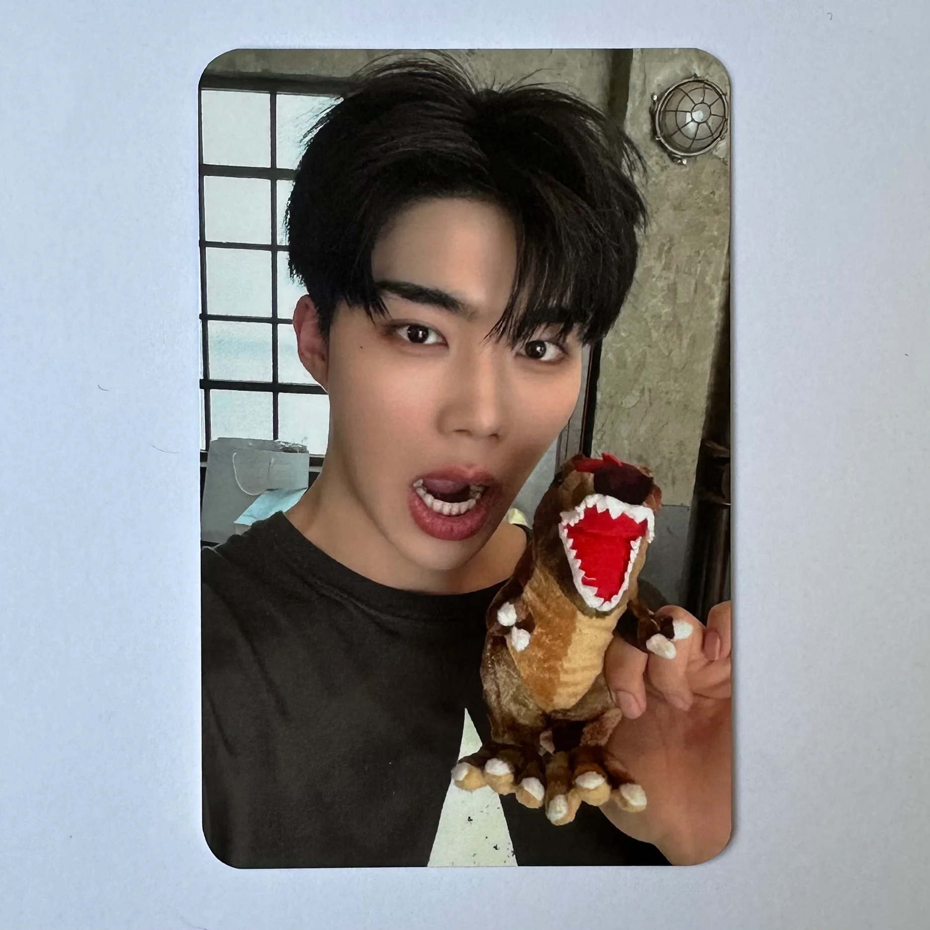 ZEROBASEONE - NEVER SAY NEVER (Photobook Ver.) Soundwave Photocards - Image 4