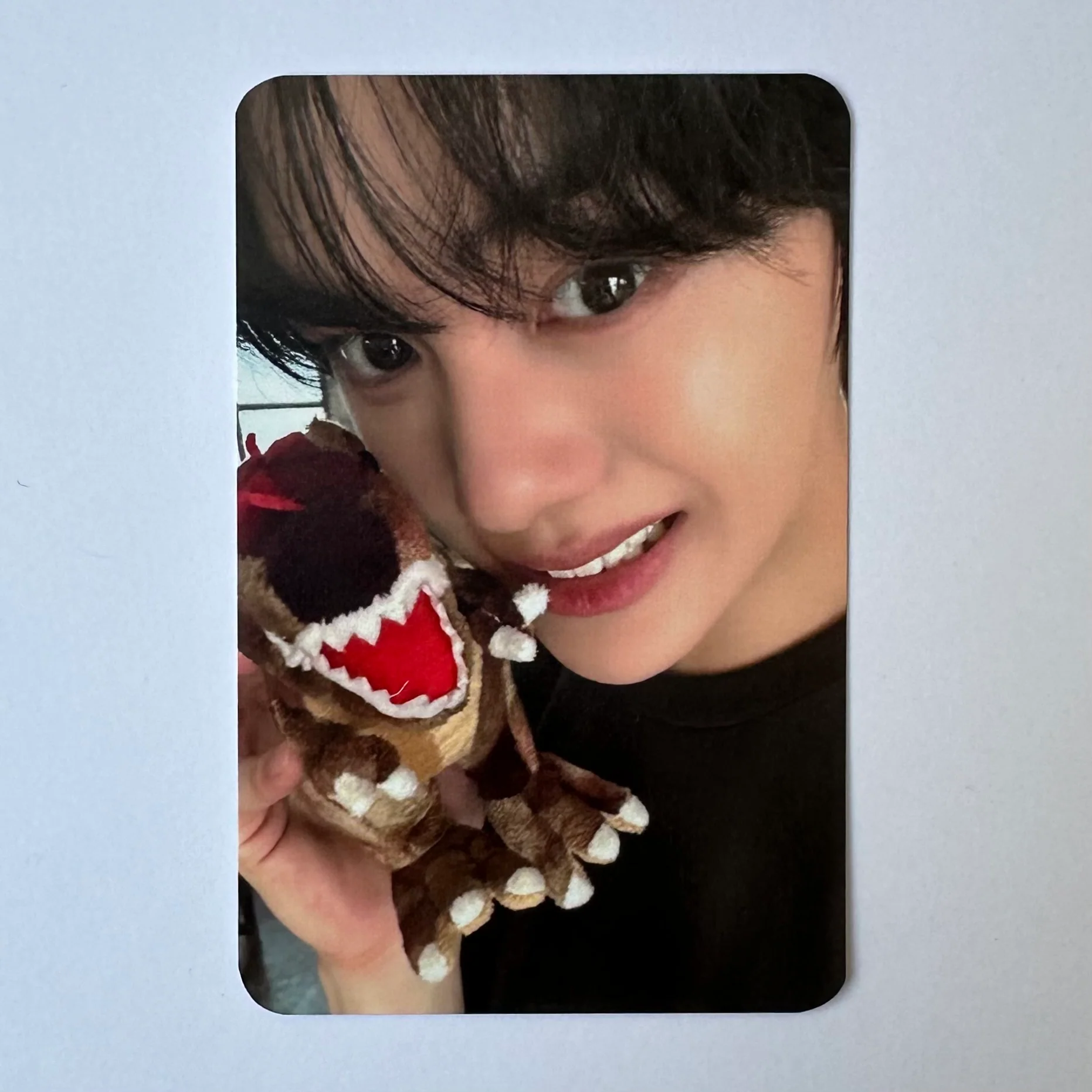 ZEROBASEONE - NEVER SAY NEVER (Photobook Ver.) Soundwave Photocards - Image 5