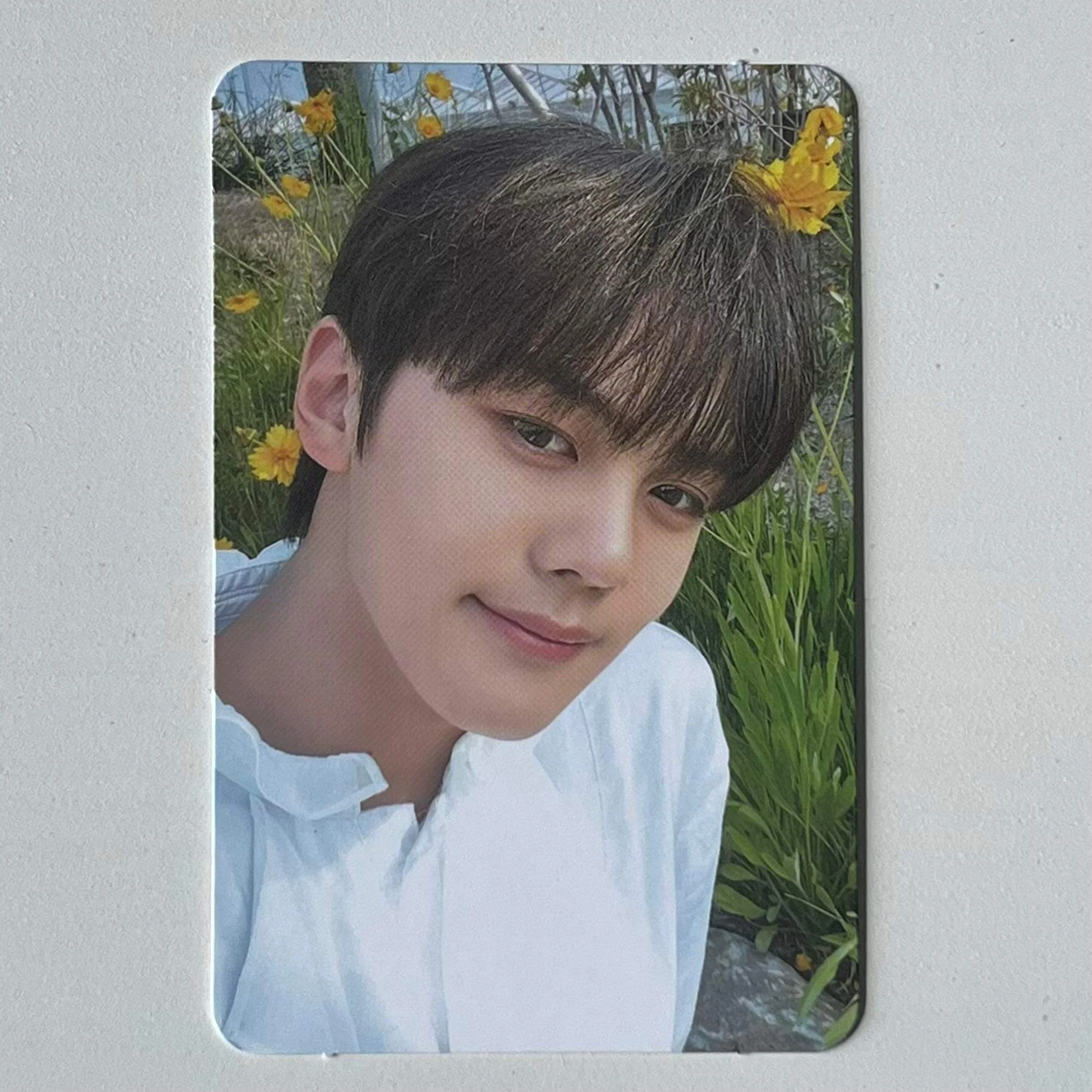 ZEROBASEONE - YOUTH IN THE SHADE Soundwave Lucky Draw Photocards - Image 8